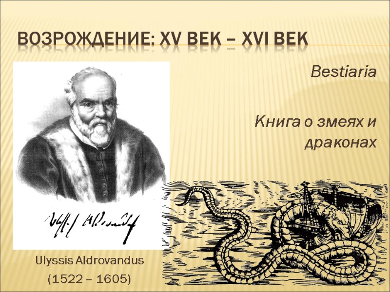 ВОЗРОЖДЕНИЕ: ХV век – ХVI век Ulyssis Aldrovandus (1522 – 1605) Bestiaria  Книга